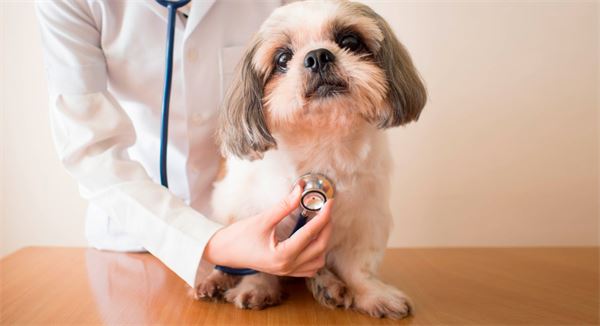 Veterinary API