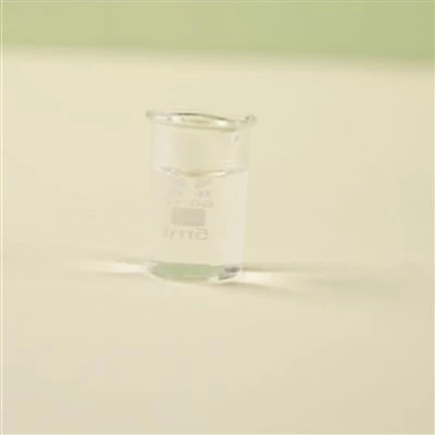 Undecylenic Acid CAS No 112-38-9