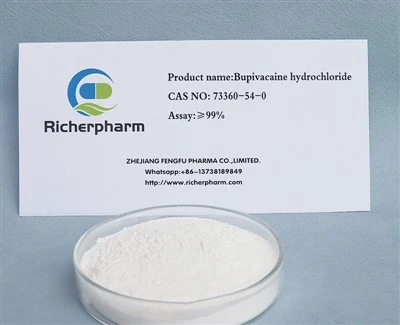 Bupivacaine Hydrochloride CAS 73360-54-0